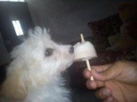 /album/mayron-herrera/a285389-4937658090829-64812903-n-jpg/