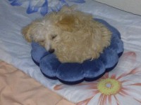 /album/mayron-herrera/a734687-4914536112794-2084565335-n-jpg/